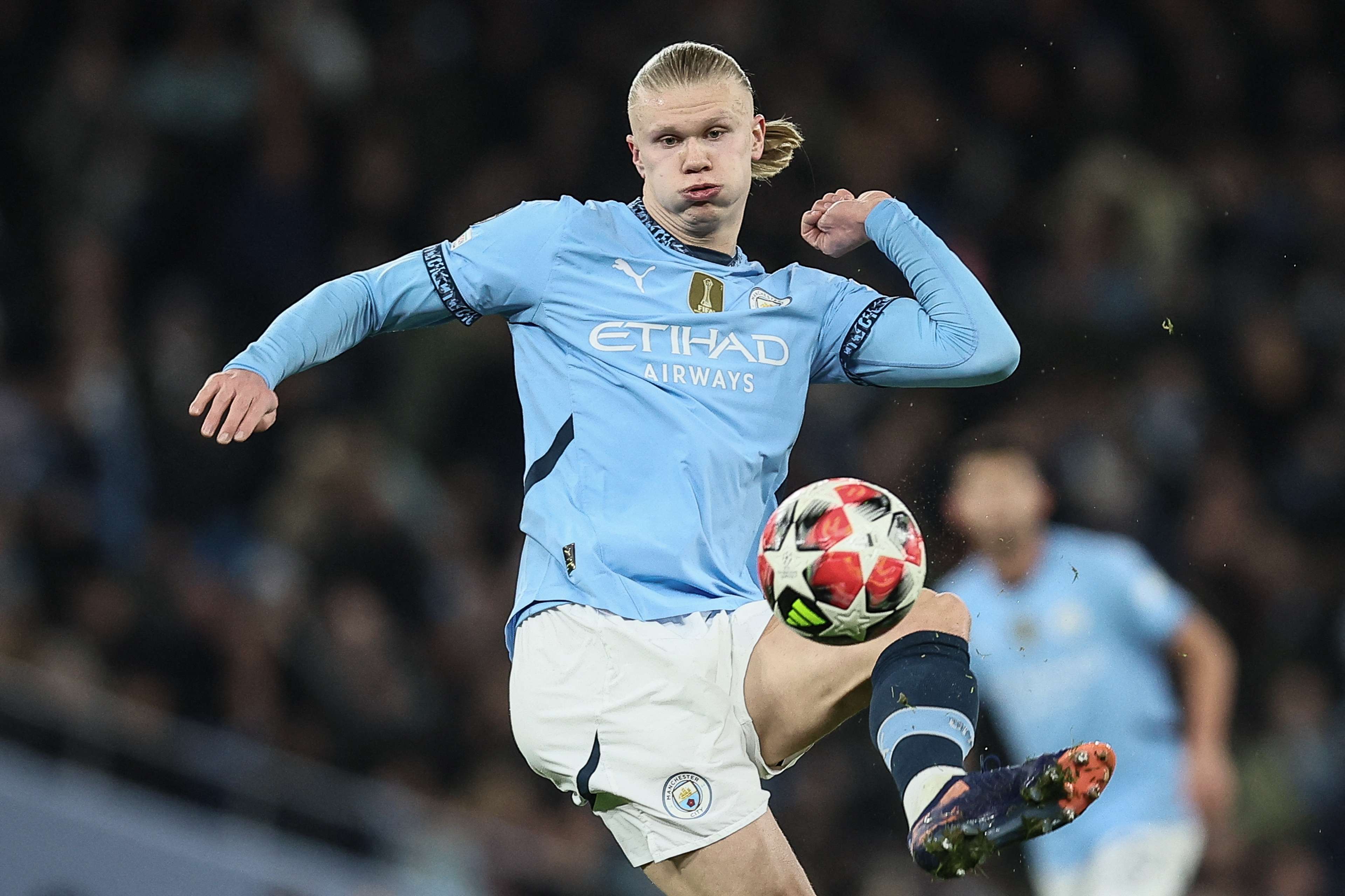 球迷的期待 球迷的期待